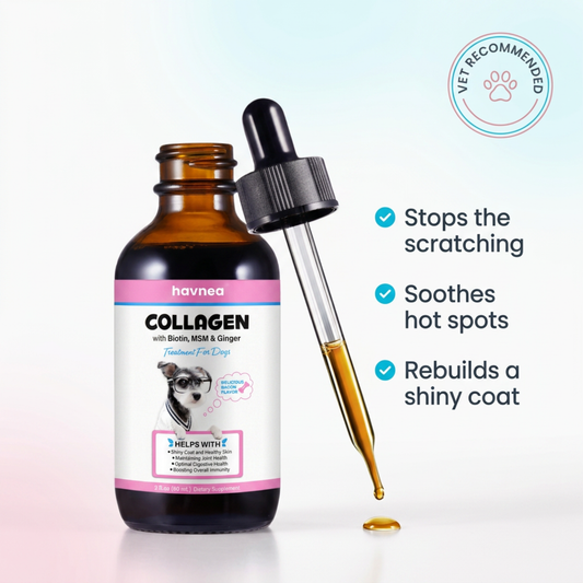 Havnea Liquid Collagen for Itchy Skin & Allergies