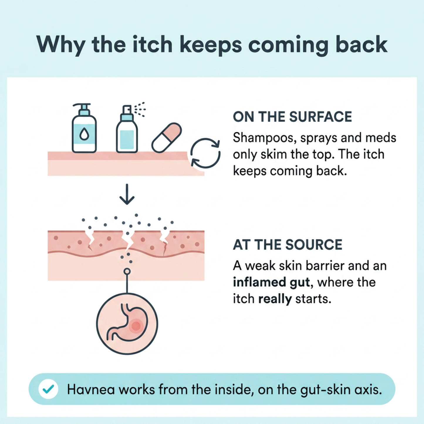 Havnea Liquid Collagen for Itchy Skin & Allergies