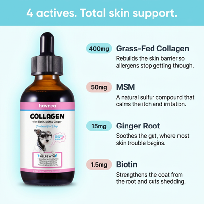 Havnea Liquid Collagen for Itchy Skin & Allergies